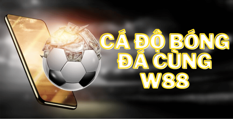 Top 5 trang kèo bóng đá uy tín, chất lượng nhất Việt Nam 3 Trang kèo bóng đá hợp pháp hóa I9BET