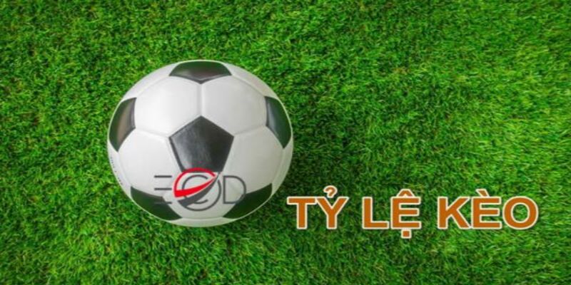 Tất Tần Tật Thông Tin Về tỷ lệ bóng đá Bạn Cần Biết 3 Kèo phạt góc